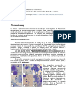 Revision de Caso Clinico. PARASITOS DE SANGRE