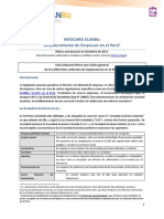 Establecimiento de Empresas en El Perú