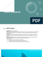 Shark Research 1