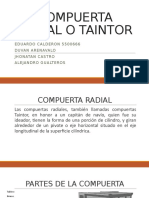 COMPUERTA RADIAL O TAINTOR