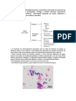 TEMA 5 Bacterias Microbiologia