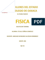 45 - 406 - Zuñiga Gonzalez Citlalli - Dilatacion Termica - PFD