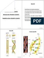 07-Replikacija,+transkripcija,+translacija(1).pdf