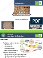 Tema 3. Particulas sedimentarias.pdf