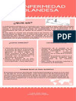 La Enfermedad Holandesa PDF