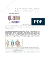 Sistem Pencernaan