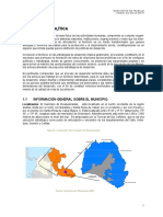 Diagnóstico Cap 1 Dimensión Política PDF