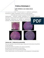 Histologia Prática 1 - Inflamações e Lesões