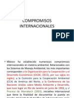 COMPROMISOS INTERNACIONALES