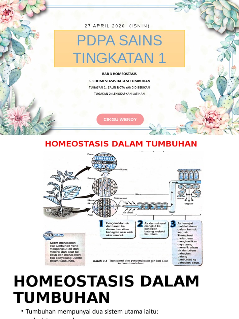 Nota Sains Tingkatan 1 Kssm Bab 3 Homeostasis Dalam Tumbuhan Pdf