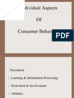 Individual Aspects of Consumer Behaviour