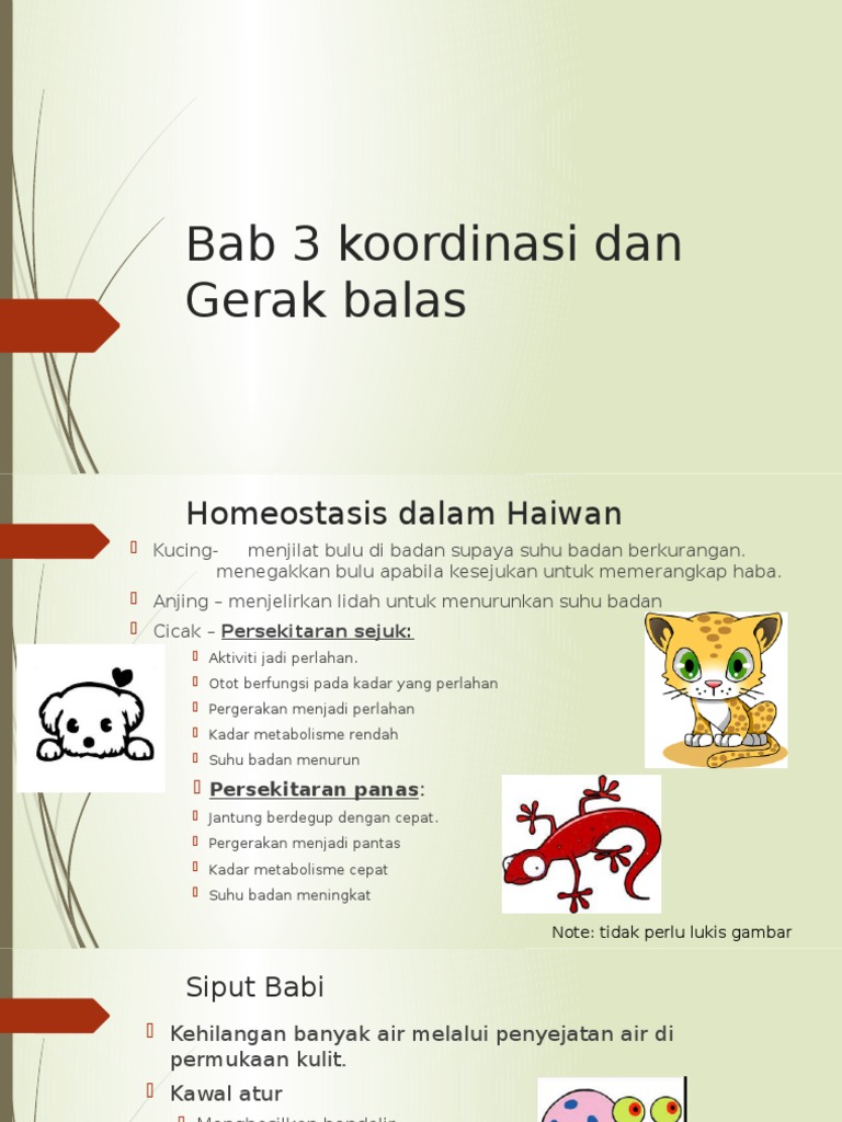 Bab 3 Koordinasi Dan Gerak Balas Pdf