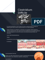 Clostridium Difficile