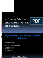 On Consumer Behaviour: Environmental and Group Influences