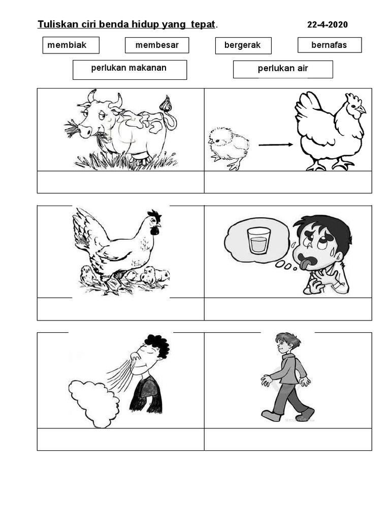 Tuliskan Ciri Benda Hidup Yang Tepat 22 4 2020 Pdf