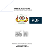 kelompok 1 peradangan.docx