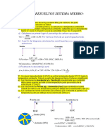 Ejercicios Resueltos Sistema Hierro - Car