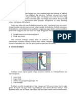 Fosfolipid & Prostaglandin