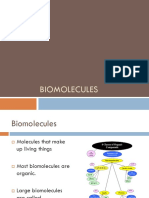 The 4 Classes of Biomolecules