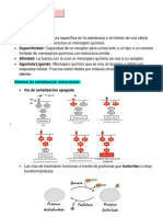 Transducción de señales flopis.pdf