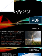Tornadele PDF