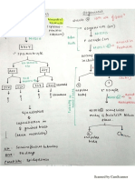 General Embryology