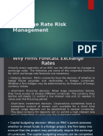 Exchange Rate Risk Management Techniques