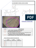 Craze Cracks: Nozzle Segment Indication Zones