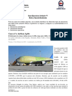 Pauta Unidad N°1 - Nivel de Decisiones PDF