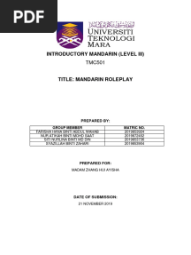 Mandarin Role Play PDF