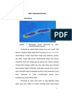 jtptunimus-gdl-wahyunengs-5324-2-bab2.pdf
