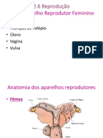 2.6 Reprodução Sem Indução e Sincronização PDF