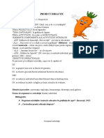 PROIECT DIDACTIC.docx