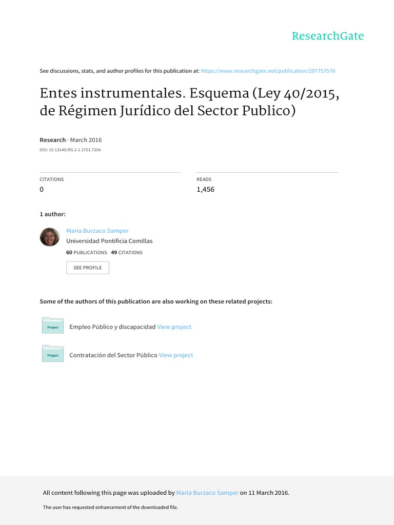 Entes Instrumentales en el Sector Público | PDF | Política | Economias