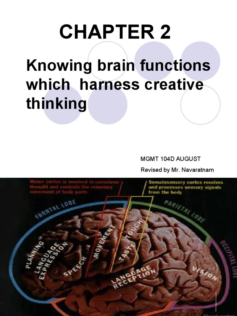 Brain Functions and Creative Thinking | PDF | Creativity | Teaching ...