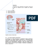 Centros Respiratorios