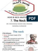 The Neck PDF