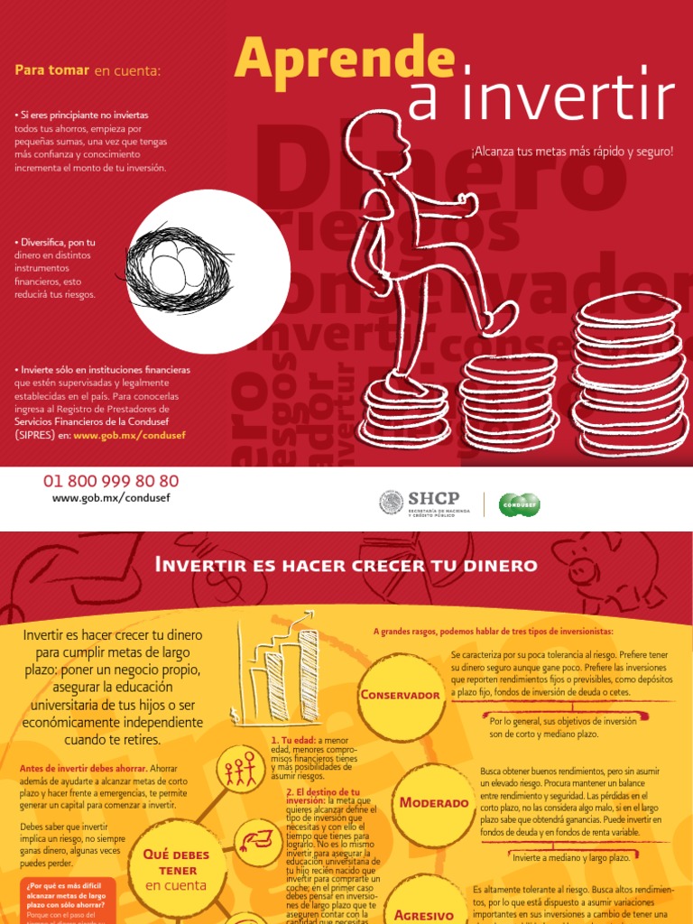 Guía para Invertir con Seguridad | PDF | Inversiones | Dinero