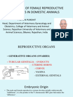 Anatomy of Female Reproductive Organs in Domestic Animals