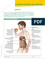 Biología Recuperación 1 Trimestre (3 Tema)