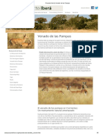 Proyecto Iberá Venado de Las Pampas