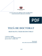 Rezumat_restaurare.pdf