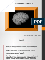 Neuropsihologie Clinica Curs 10.pptx Versiunea 1