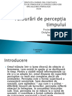 Tulburări de Percepția Timpului PDF