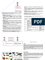 Nutricion y Alimentos - Tarea Domiciliaria