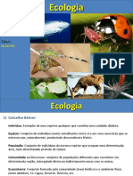 Aula Ecologia.ppt