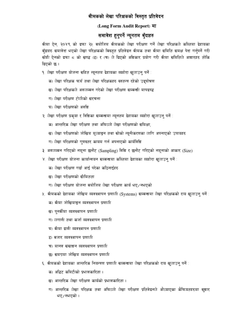 Long Form Audit Report Pdf