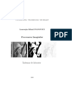 MIvanovici_PI.pdf