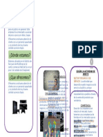 Triptico de DP