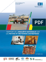 Rapport Enquete Nationale Sur Les Pme